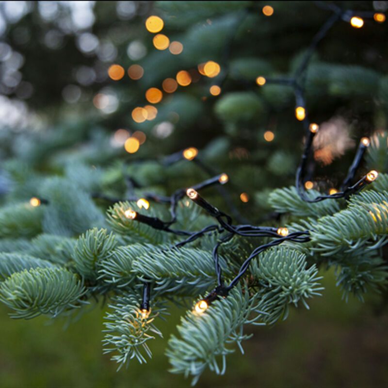 Iluminação natalina em LED de 7,2 m, alimentada por bateria, com 96 lâmpadas, para uso interno e externo. Iluminação natalina em LED de 7,2 m, alimentada por bateria, com 96 lâmpadas, para uso interno e externo.