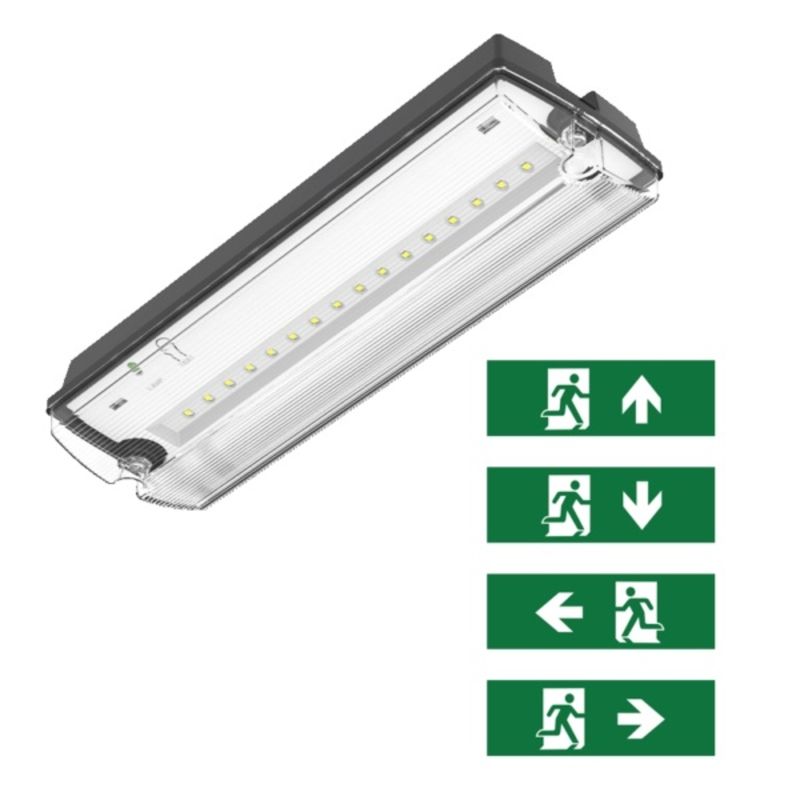 Luminária de emergência preta com pictogramas, Pedram, 3W, LED 6500K, IP66 Luminária de emergência preta com pictogramas, Pedram, 3W, LED 6500K, IP66