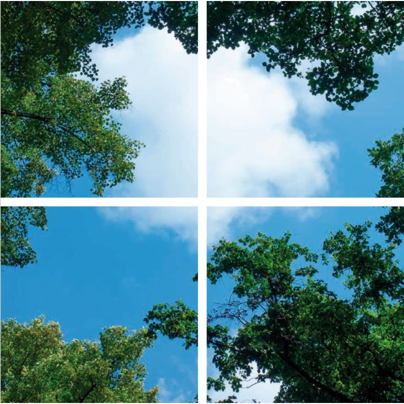 Conjunto de 4 placas de acrílico com impressão fotográfica de nuvem com floresta, para painéis de LED de 60x60 cm.