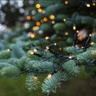 Iluminação natalina LED de 1,8 m com bateria, 24 lâmpadas, para uso interno e externo.
