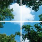 Conjunto de 4 placas de acrílico com impressão fotográfica de nuvem com floresta, para painéis de LED de 60x60 cm.