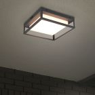 Candeeiro para exterior de metal antracite, Rolina, 14W, LED white switch, IP54, regulável em 3 níveis