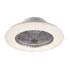 Ventilador de teto moderno cinza, Damyan, 30W, LED branco ajustável de quente a frio, com controle remoto.