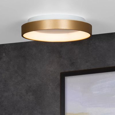 Plafon moderno dourado, Vidal, 20W, LED 2700K