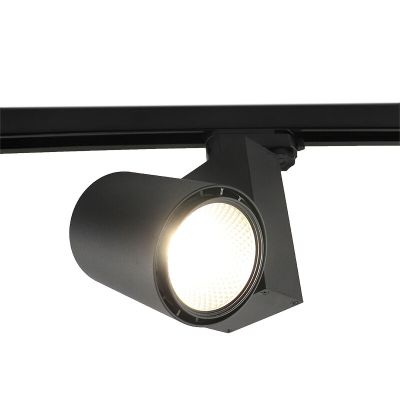 Black Bisolux Master B track spot, driver Philips, 4000k, 30w, 36 graus