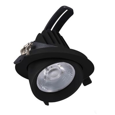 Downlight de alumínio preto, Shanaya, 30W, LED white switch