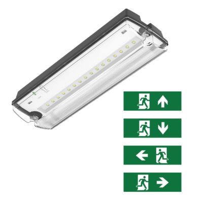 Luminária de emergência preta com pictogramas, Pedram, 3W, LED 6500K, IP66