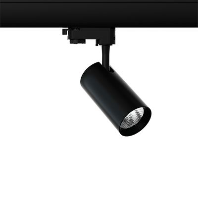 Refletor de trilho trifásico preto Esmiralda, 20 W, 4000 K, Pro