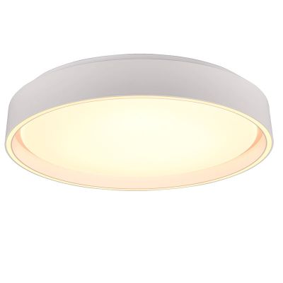 Plafon de plástico branco, Deon, 24W, LED ajustável de branco quente a branco frio